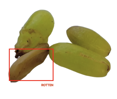 AI Food Freshness Detection System — image 1