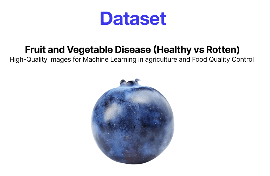 Fruit and Vegetable Disease (Healthy vs Rotten) Dataset
